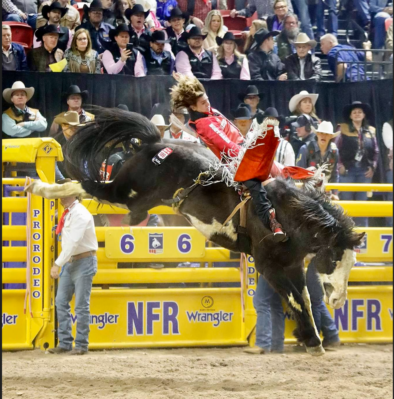 Rocker Steiner - WNFR Bareback Riders